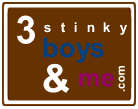 3 stinky boys and me
